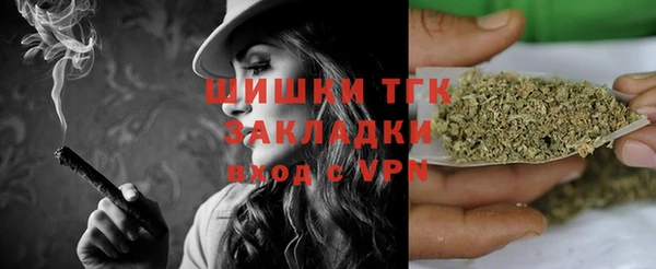 гидропоника Алзамай